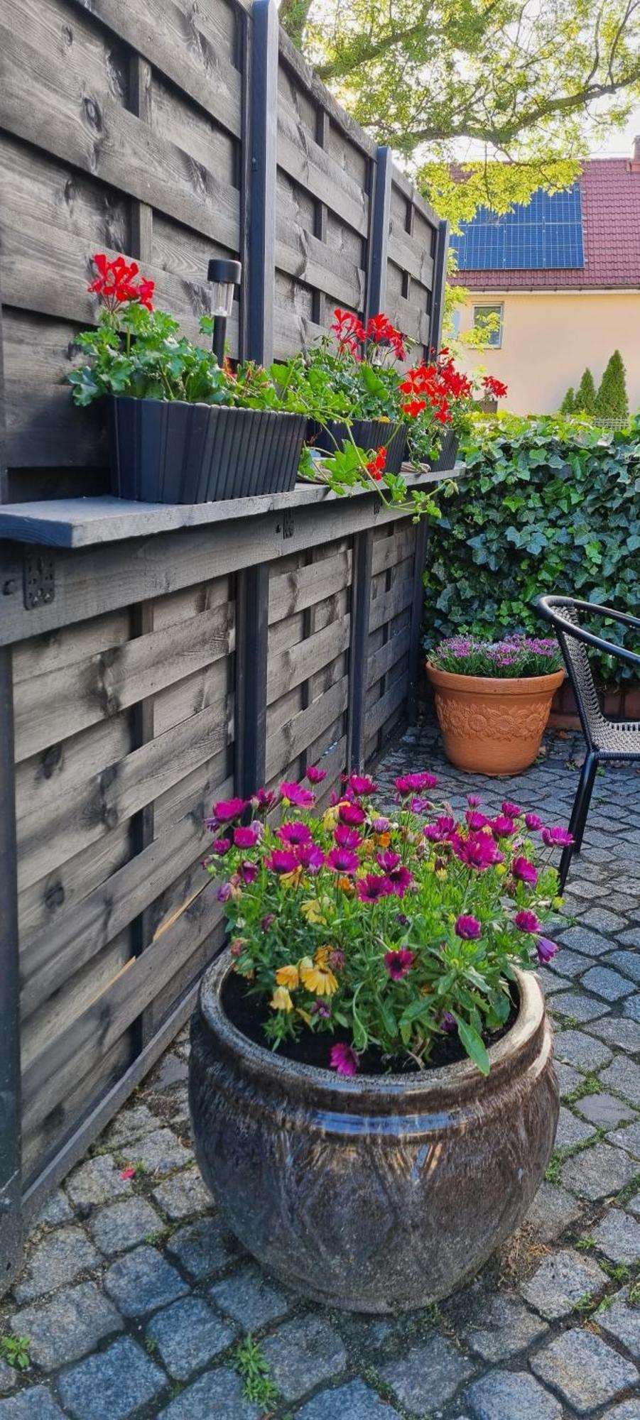 Noclegi Na Lacznej Świebodzice Exterior foto